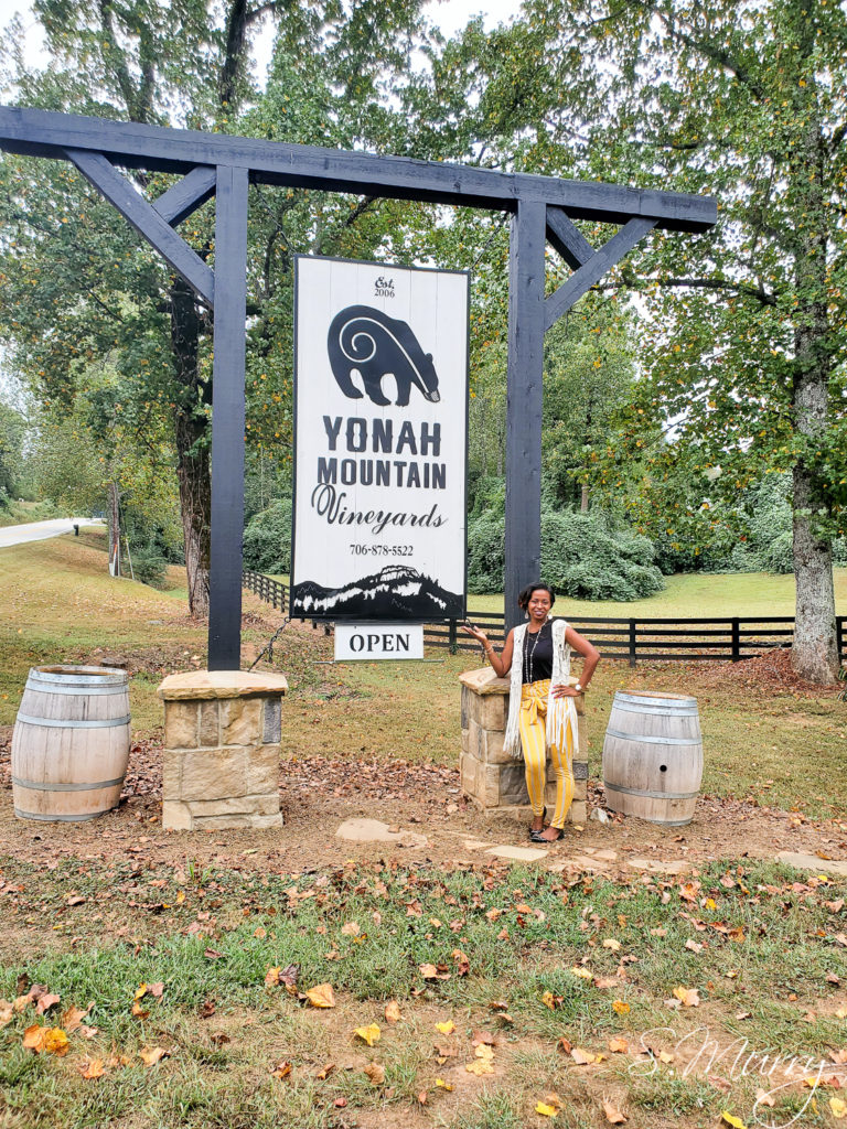 Yonah Mountain Winery and Vineyard - The Nosey Nomad